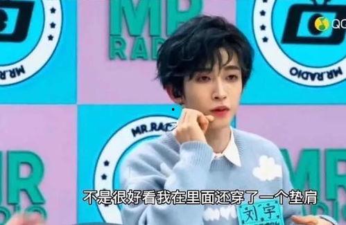 刘宇娱乐爆料视频大全下载,揭秘娱乐圈幕后故事  第1张