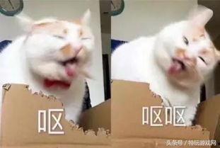 狗子黑料爆料视频大全下载,视频大全下载背后的真相 第2张 狗子黑料爆料视频大全下载,视频大全下载背后的真相 第2张